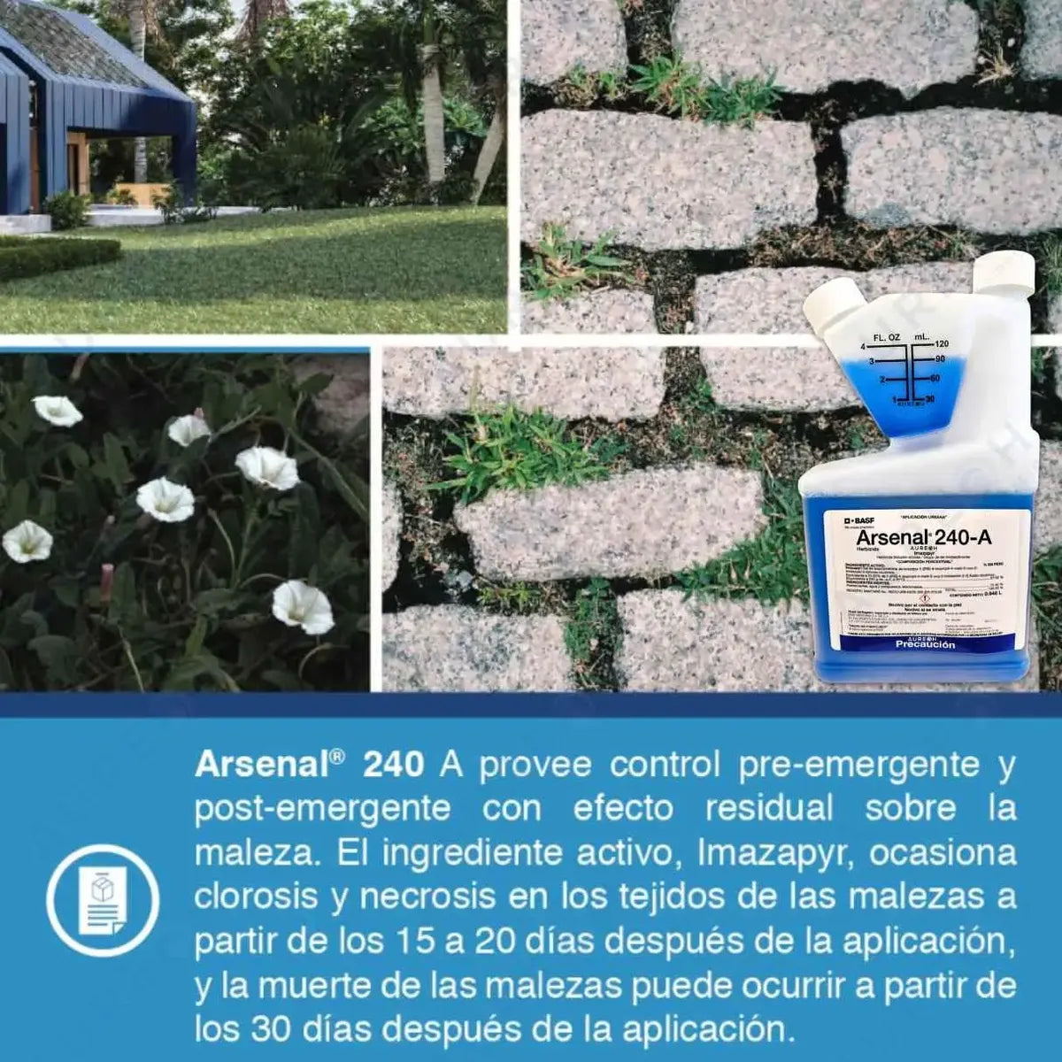 Arsenal Herbicida Pasto Zacate Hierba Dificil 3000 M2 Basf