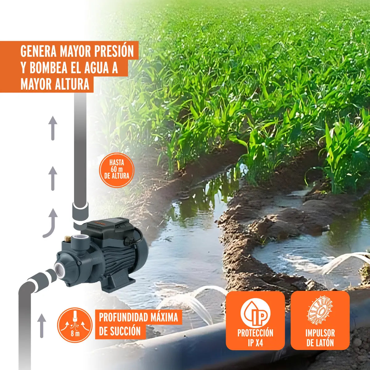 Bomba periférica TRUPER, 1 HP, Altura máxima 60m, Uso agrícola, BOAP-1A2