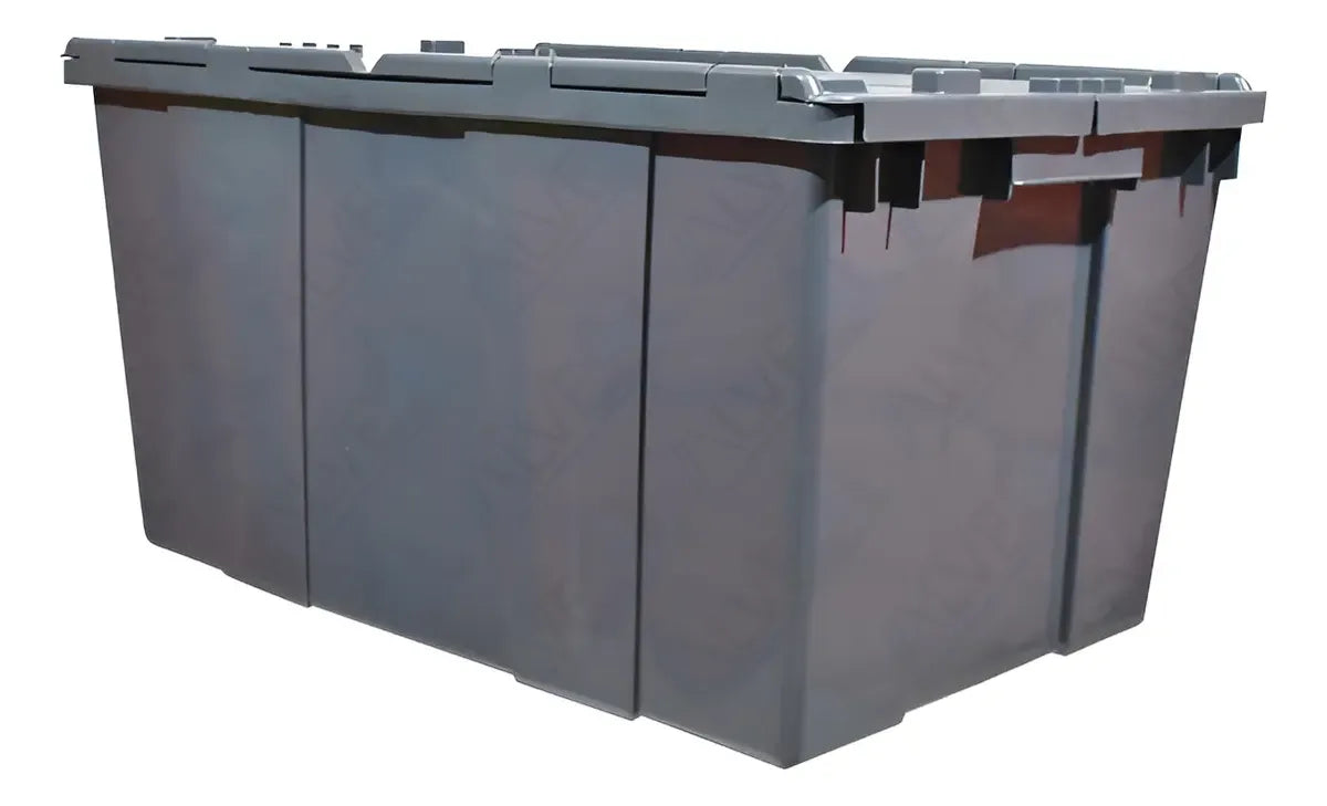 Caja Organizadora Mediana Con Tapa De Bisagra - 5 Piezas