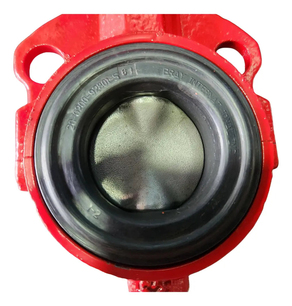 Valvula De Mariposa Marca Bray De 2 Serie 20