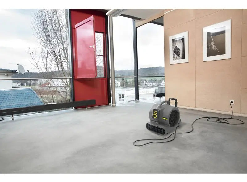 Sopladora Secadora Ab84 Limpieza Inyección / Succión Karcher